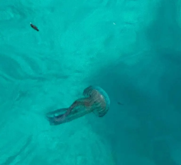 Camera Guitga A Lampedusa-1