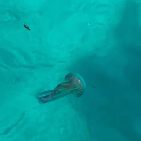 Camera Coniglio A Lampedusa-2